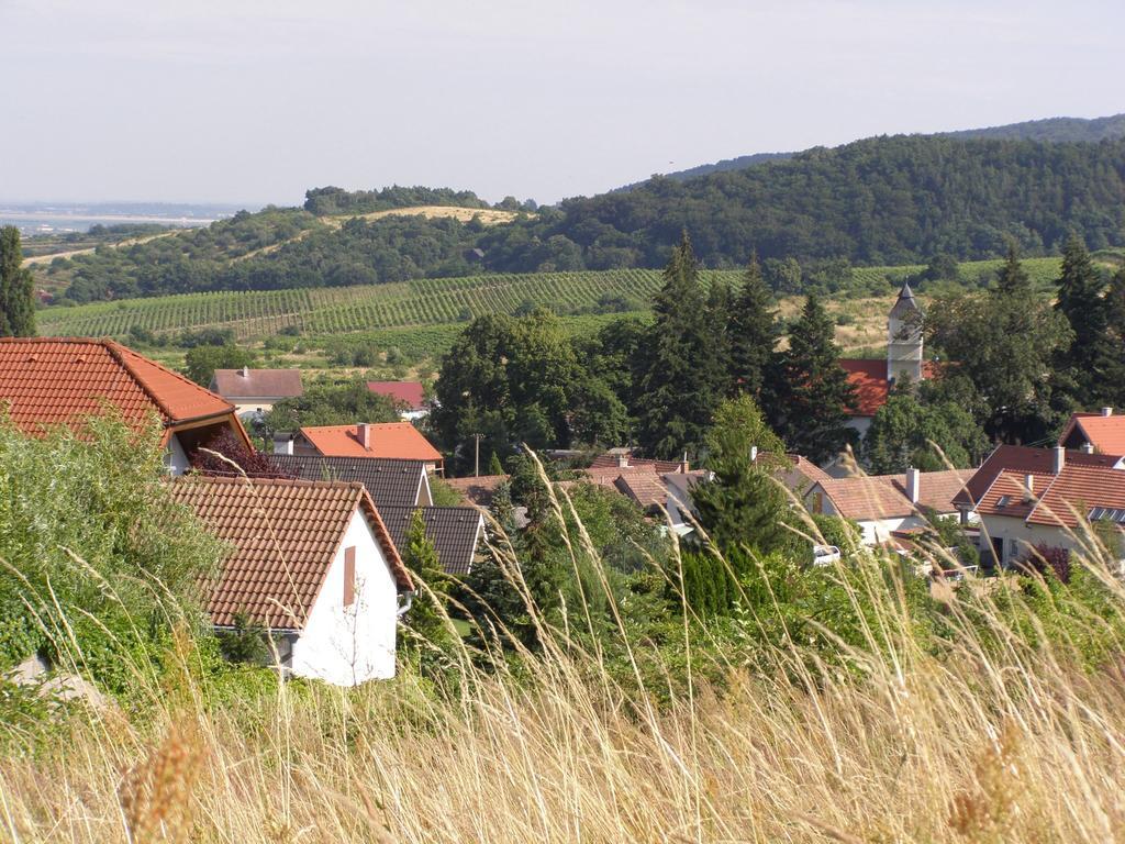 Villa Vinica Limbach Exterior foto